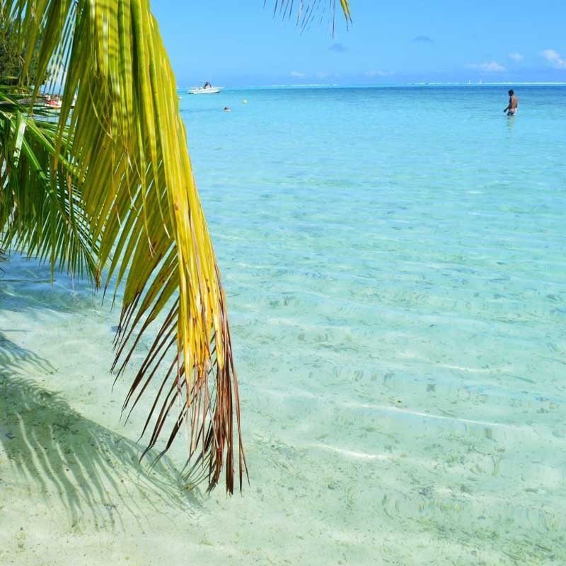 Travailler dans les DOM TOM : bon plan pour les soignants ?